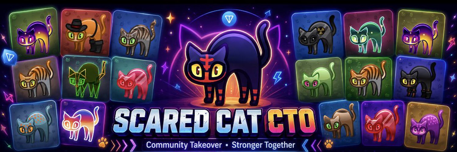 Scared Cat CTO banner